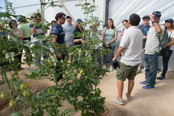 EMPRESA_PARA_EVENTOS_RSC_MURCIA-600x400